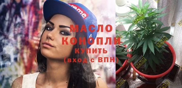 спиды Богородицк