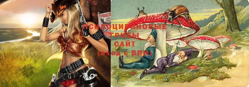 mega рабочий сайт  Шацк  Псилоцибиновые грибы Magic Shrooms 